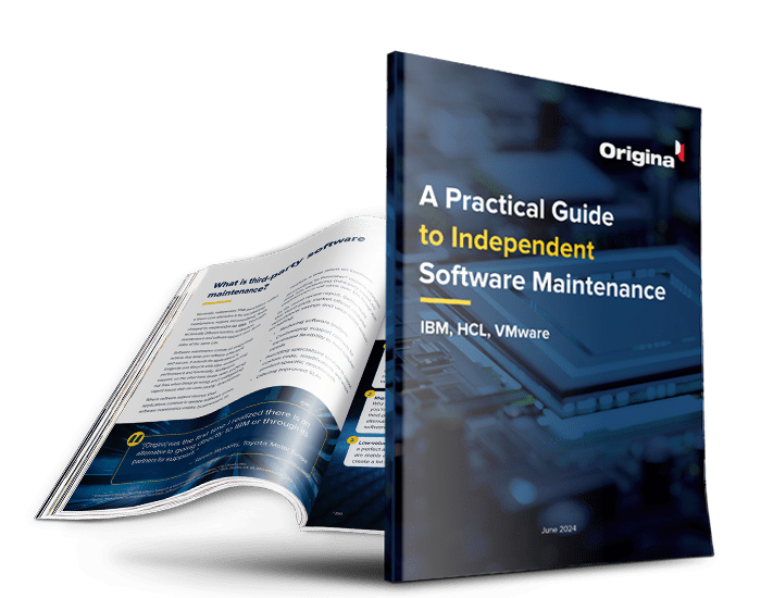A Practical Guide to Independent Software Maintenance